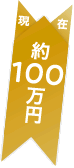 現在：約100万円