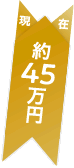 現在：約45万円